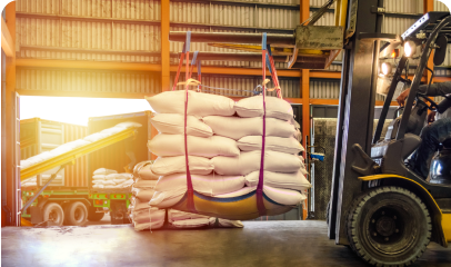 Global Sourcing & Imports