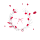 Offered Services Icon